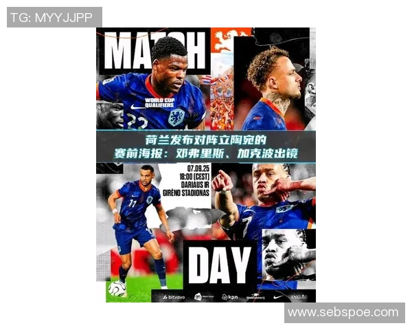 2012年欧洲足球预选赛瑞典对阵荷兰精彩对决回顾与分析 2012年欧洲足球预选赛瑞典对阵荷兰精彩对决回顾与分析