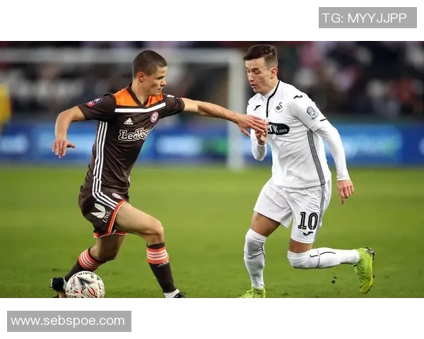 伯明翰与卢顿对决前瞻分析球队状态及战术布置探讨 伯明翰与卢顿对决前瞻分析球队状态及战术布置探讨