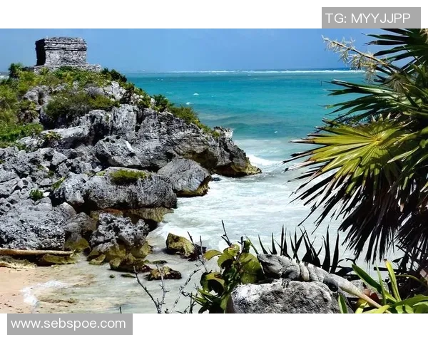 提华纳与托拉卡的激烈对决揭示了墨西哥足球的无限魅力与竞争精神