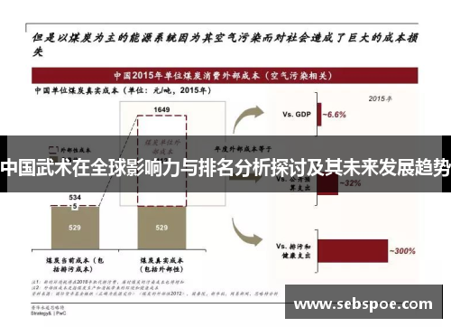 中国武术在全球影响力与排名分析探讨及其未来发展趋势