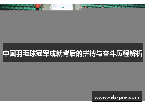 中国羽毛球冠军成就背后的拼搏与奋斗历程解析