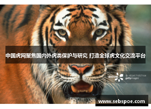 中国虎网聚焦国内外虎类保护与研究 打造全球虎文化交流平台