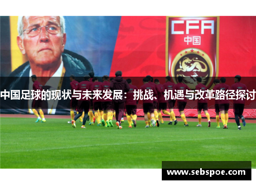 中国足球的现状与未来发展：挑战、机遇与改革路径探讨