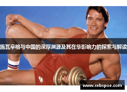 施瓦辛格与中国的深厚渊源及其在华影响力的探索与解读