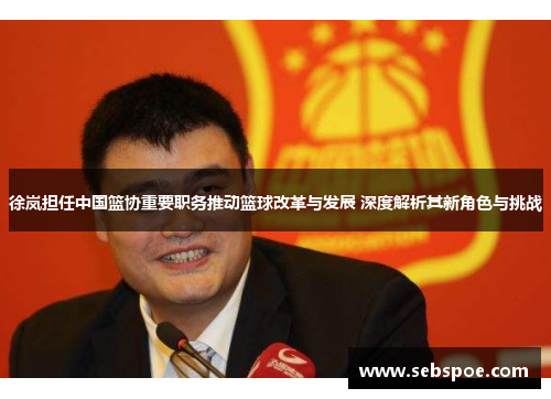 徐岚担任中国篮协重要职务推动篮球改革与发展 深度解析其新角色与挑战