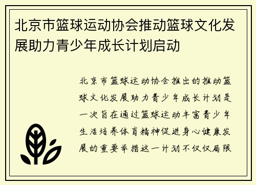 北京市篮球运动协会推动篮球文化发展助力青少年成长计划启动