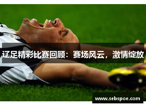 辽足精彩比赛回顾：赛场风云，激情绽放