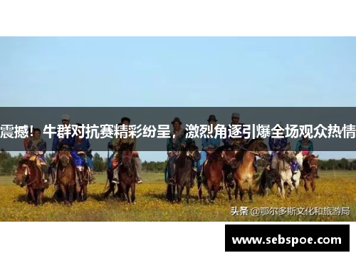 震撼！牛群对抗赛精彩纷呈，激烈角逐引爆全场观众热情