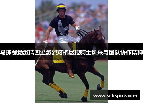 马球赛场激情四溢激烈对抗展现骑士风采与团队协作精神